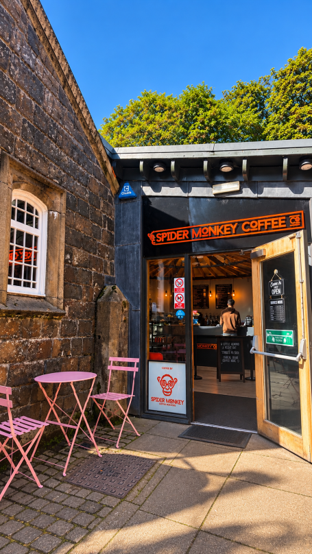 Spider Monkey Coffee | Mugdock